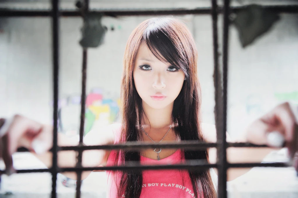17777323.webp