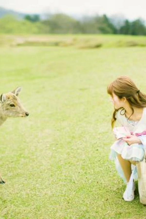 29732069.webp