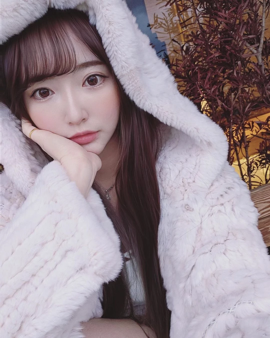 31091526.webp