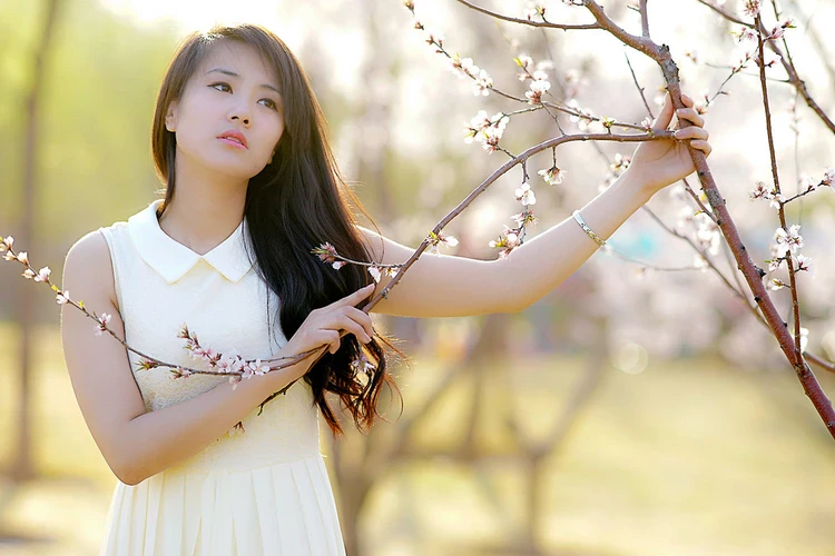 17178774.webp