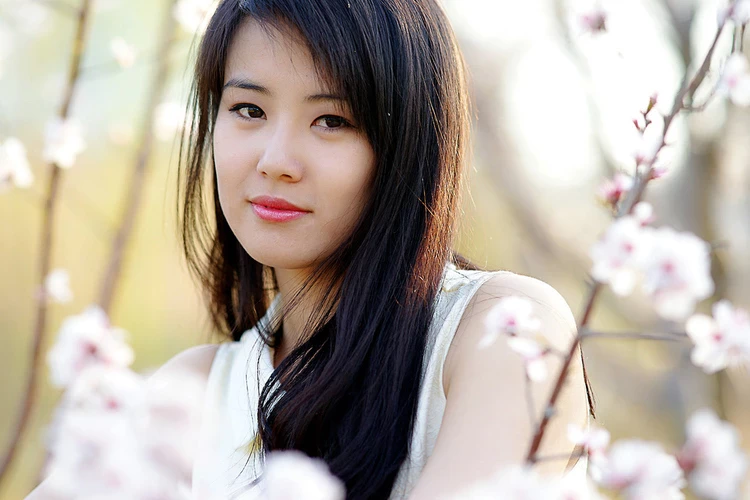17178779.webp