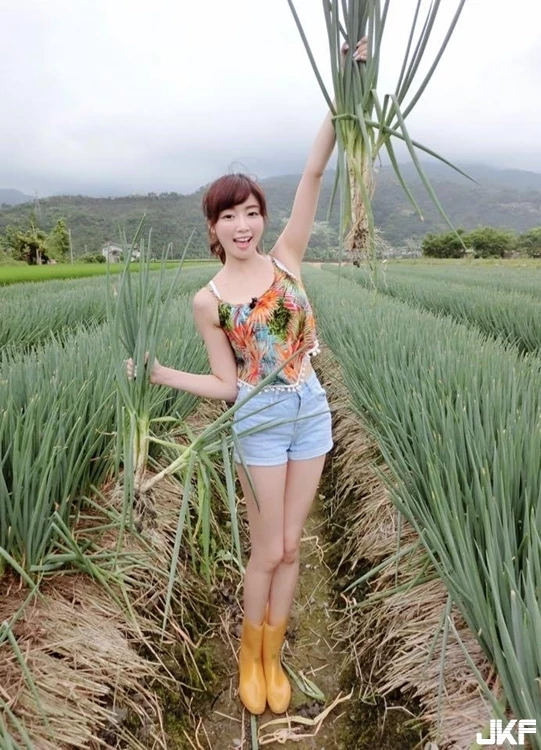 16881435.webp