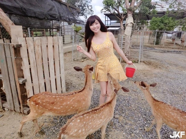 16881437.webp