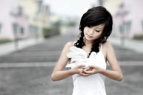 17637311.webp