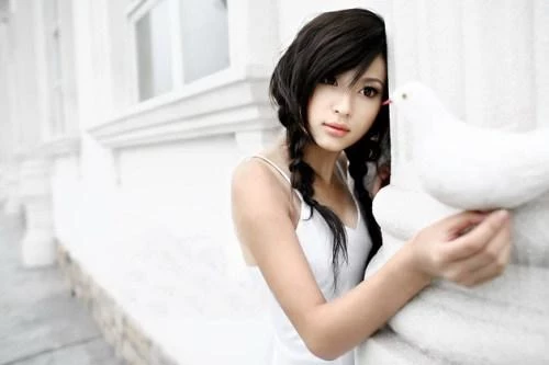 17637318.webp