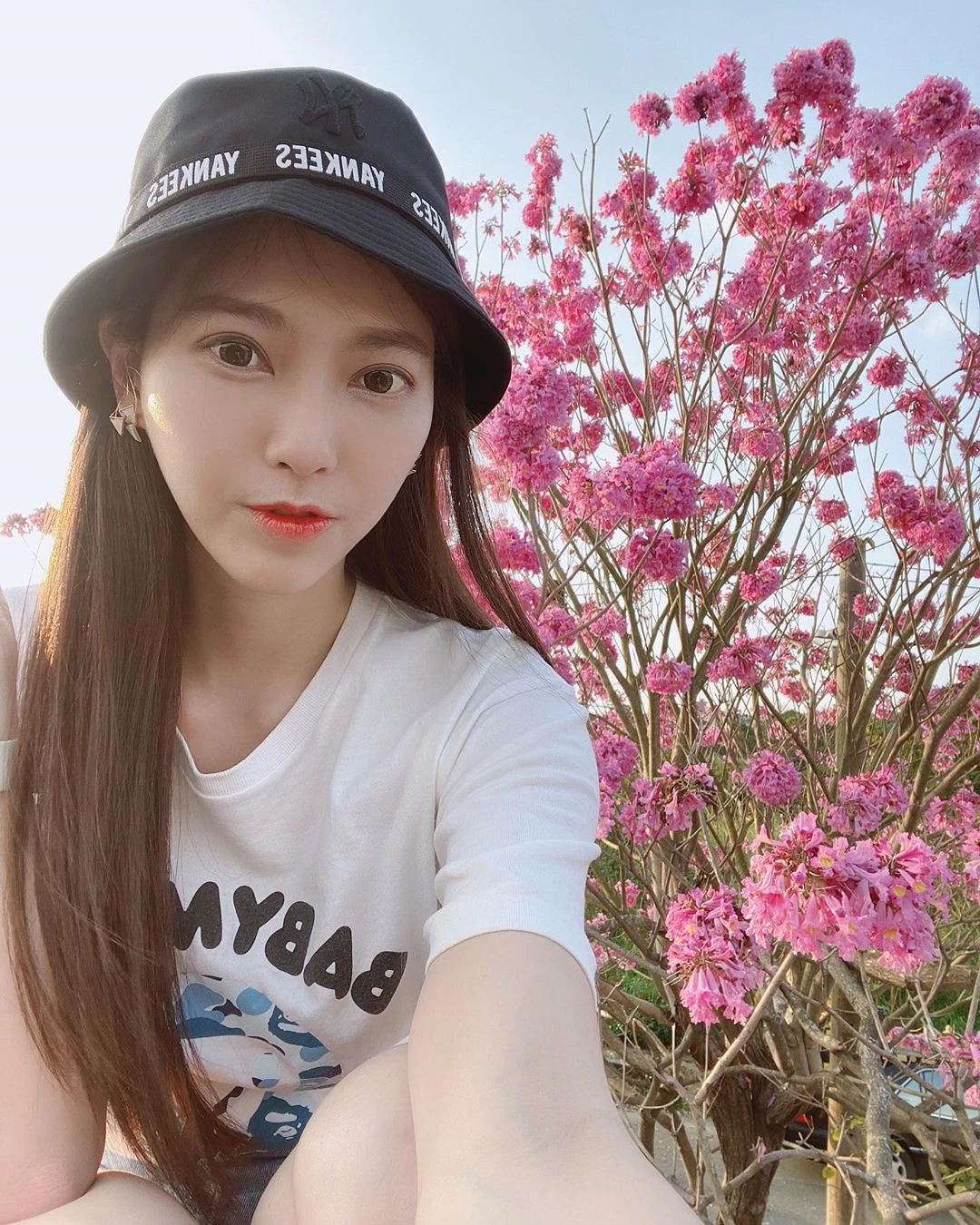 3913401.webp