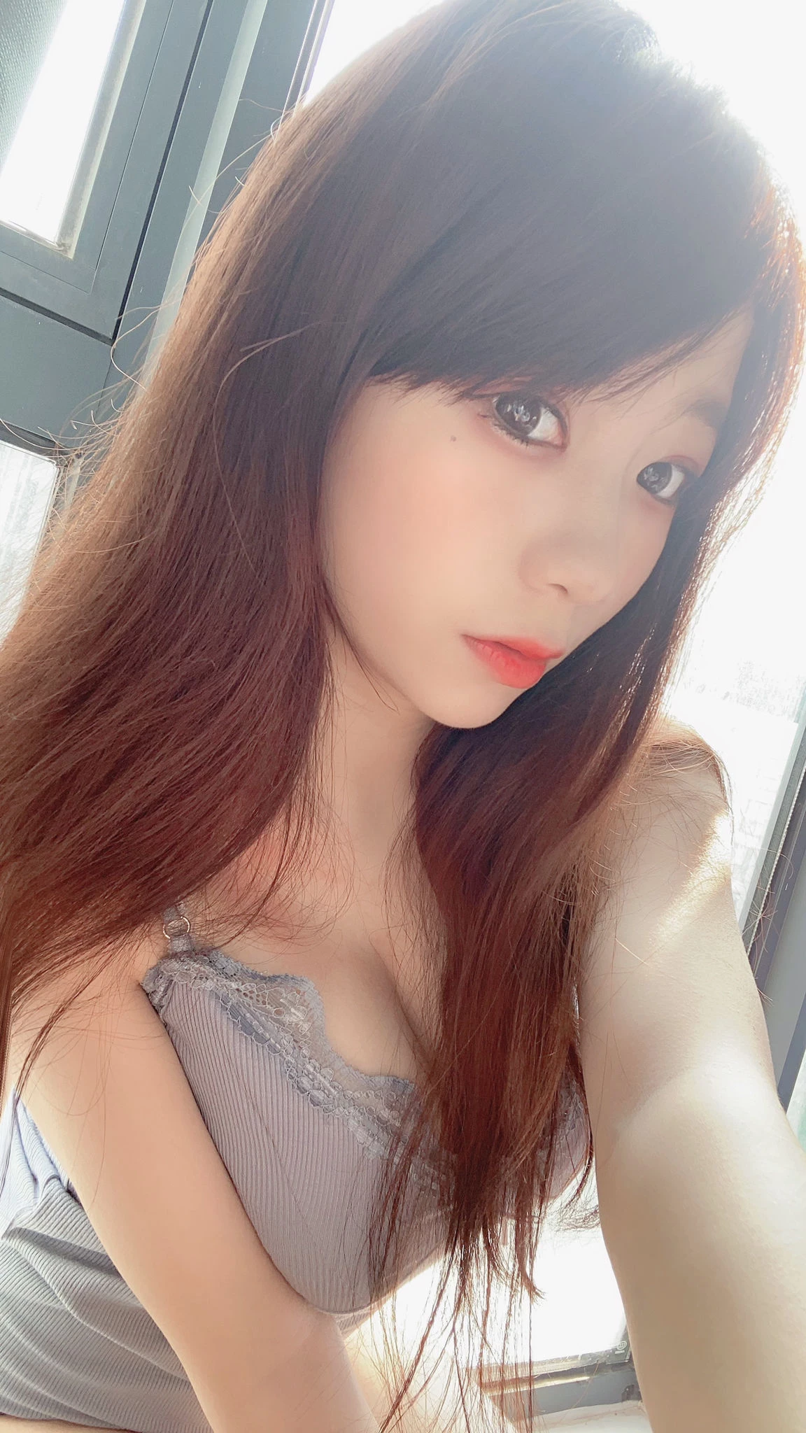 27421273.webp