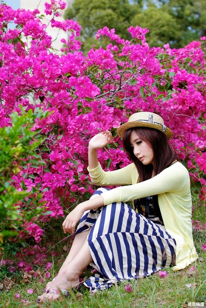17526755.webp