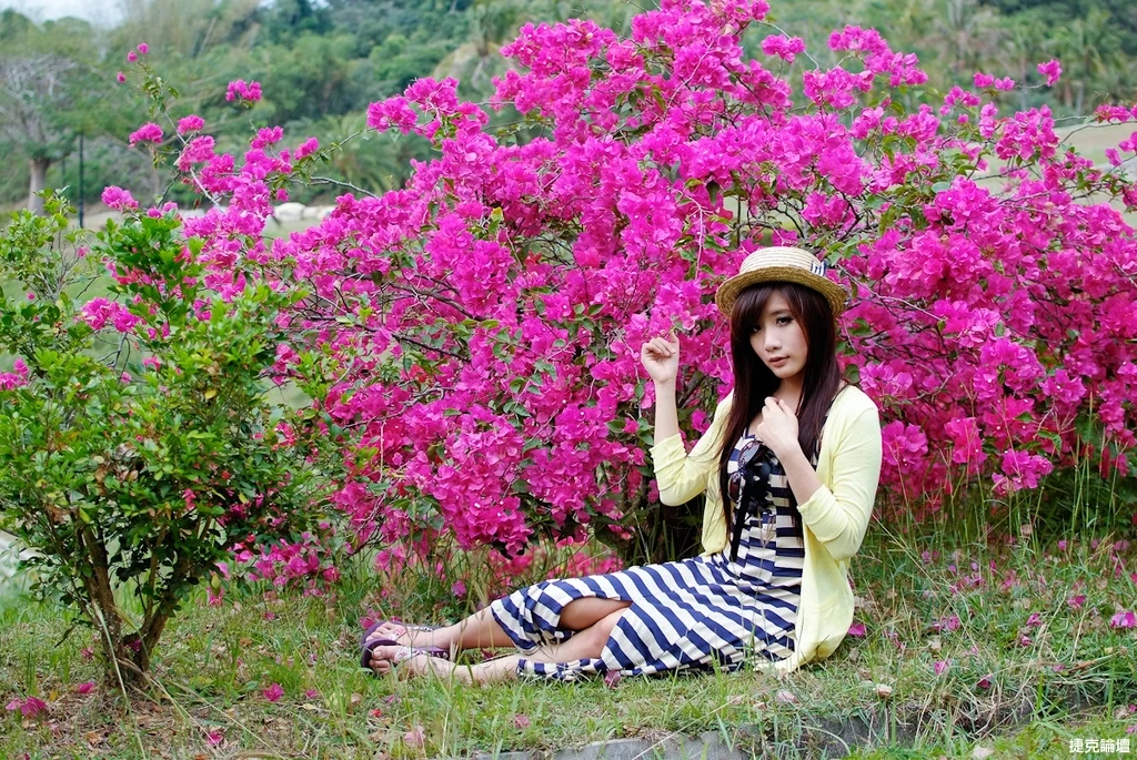 17526756.webp