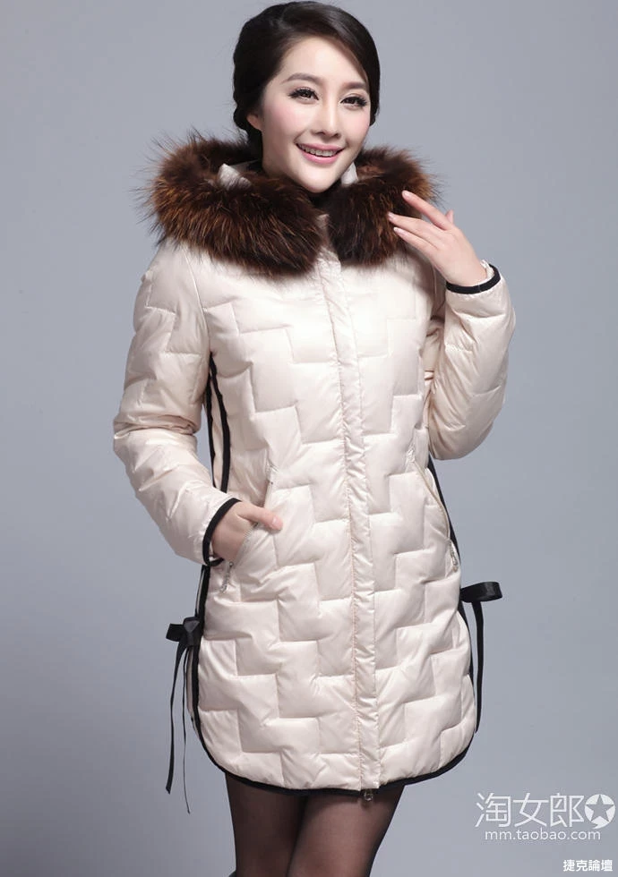 17312194.webp