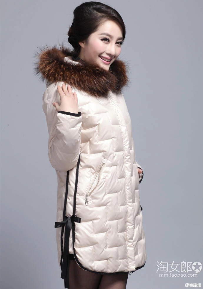 17312203.webp