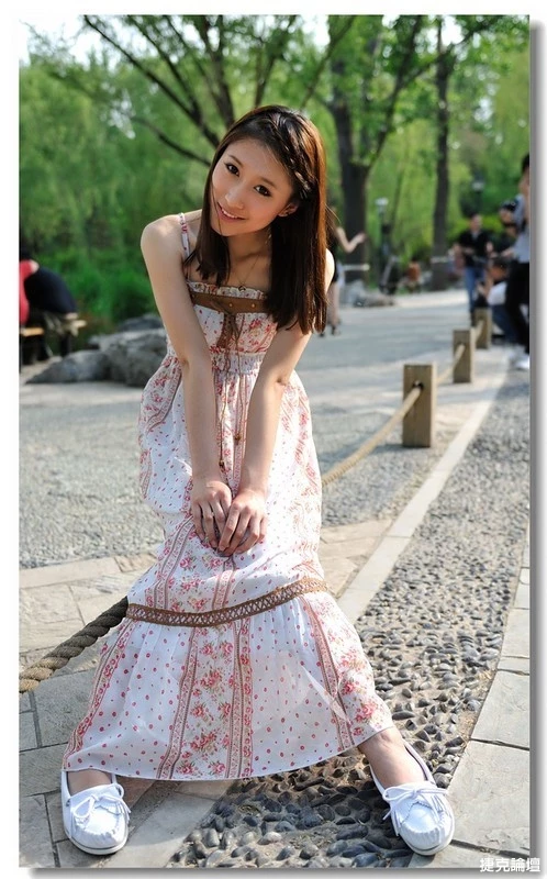 17417353.webp