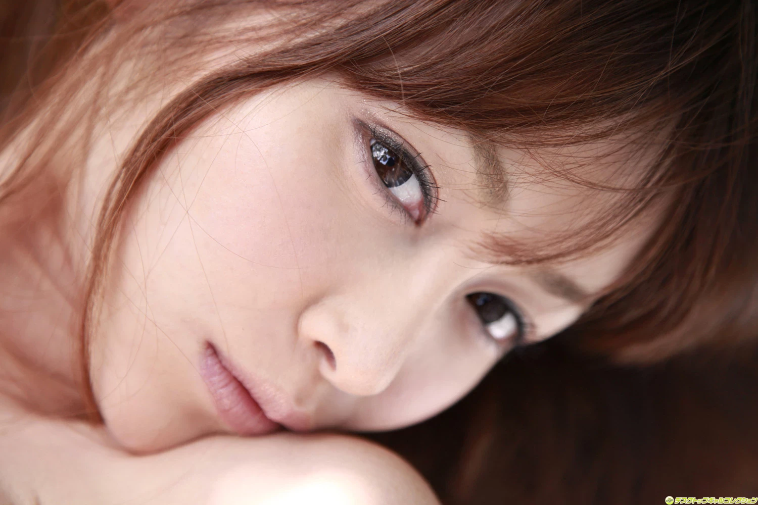 29386178.webp