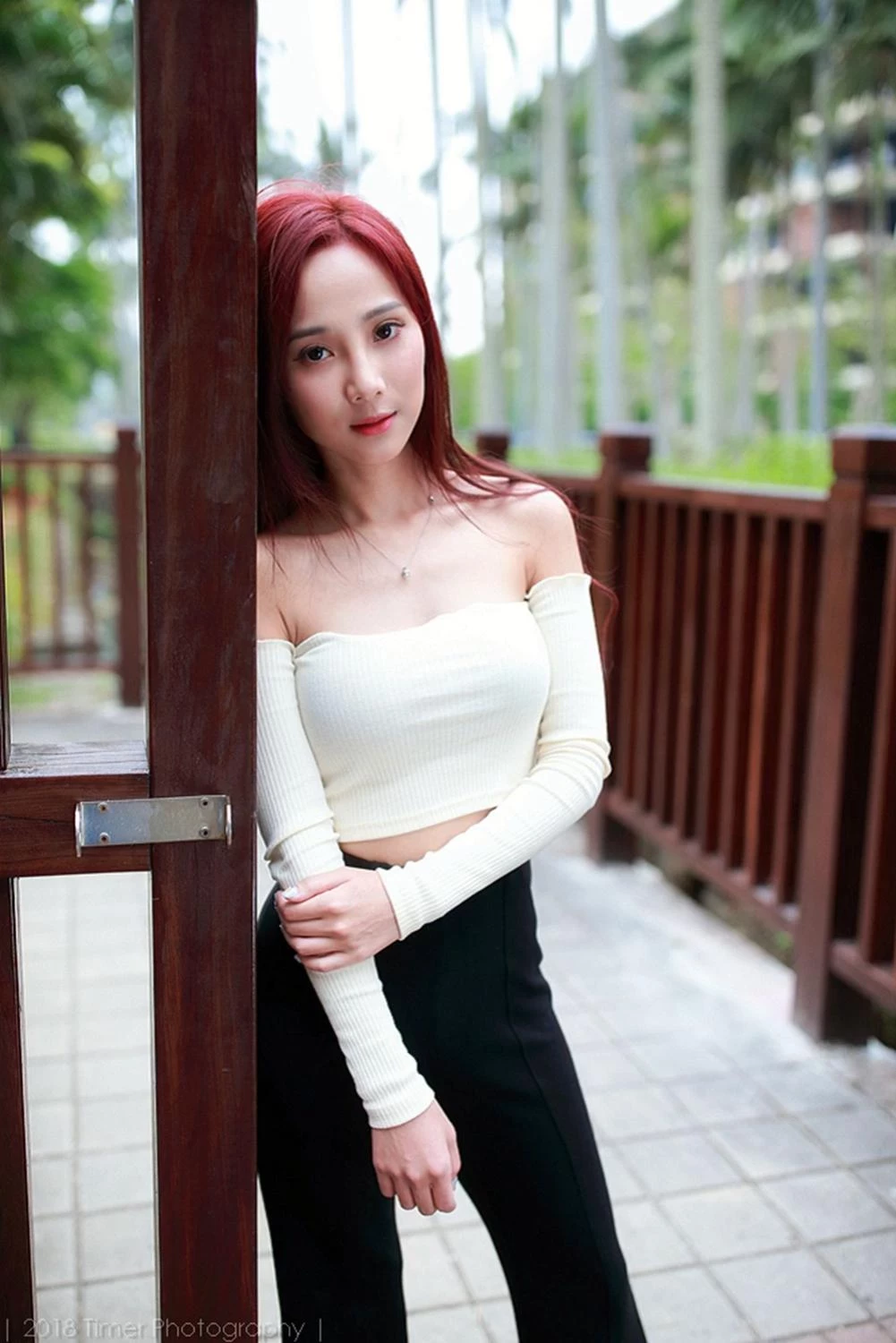 4331181.webp