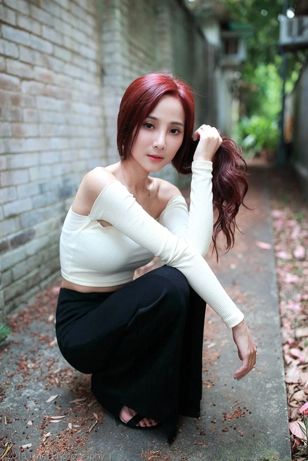 4331205.webp