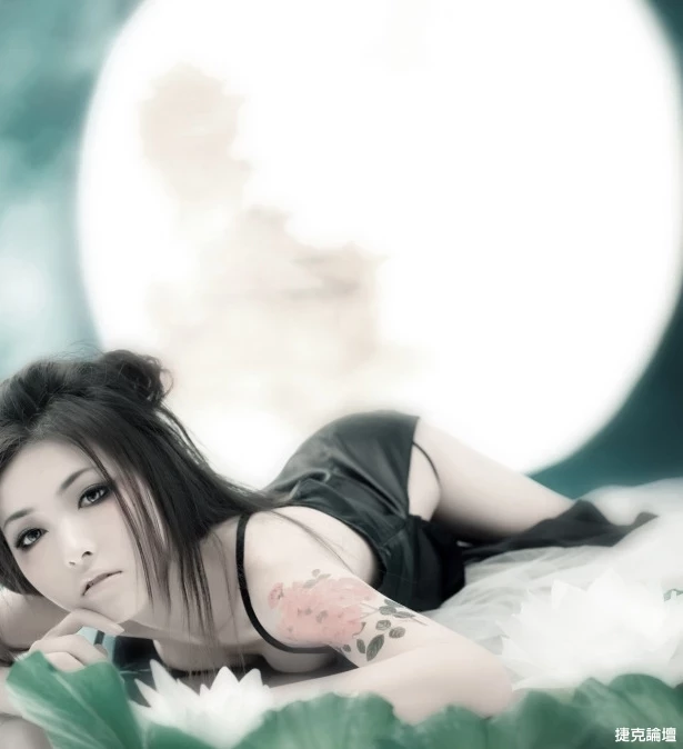 17542337.webp