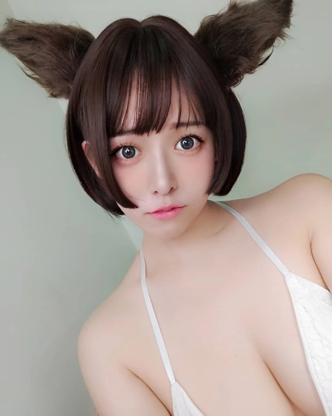 4024314.webp