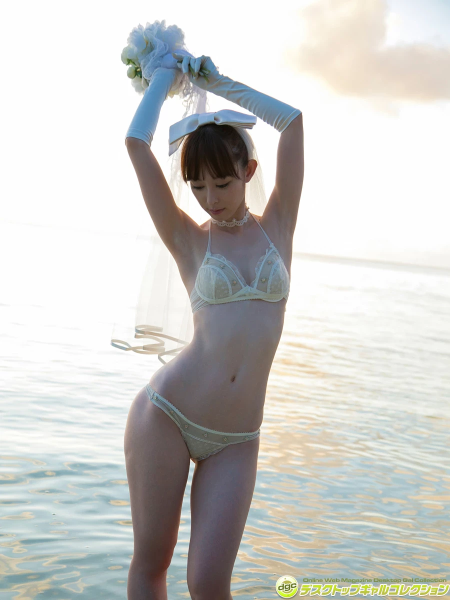 29334183.webp