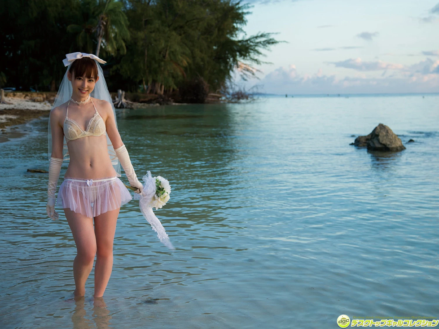 29334185.webp