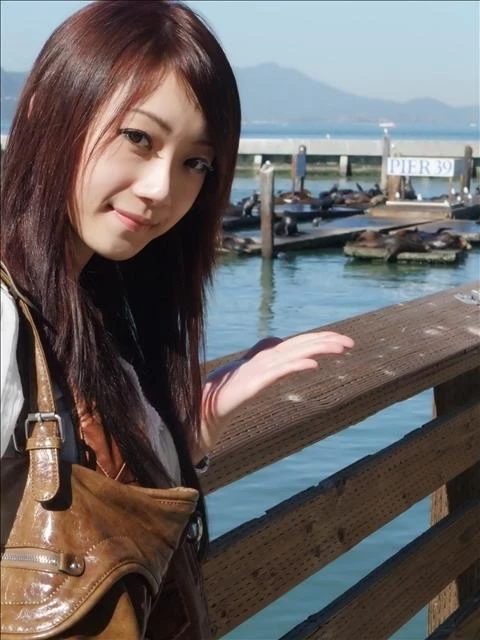 17911559.webp