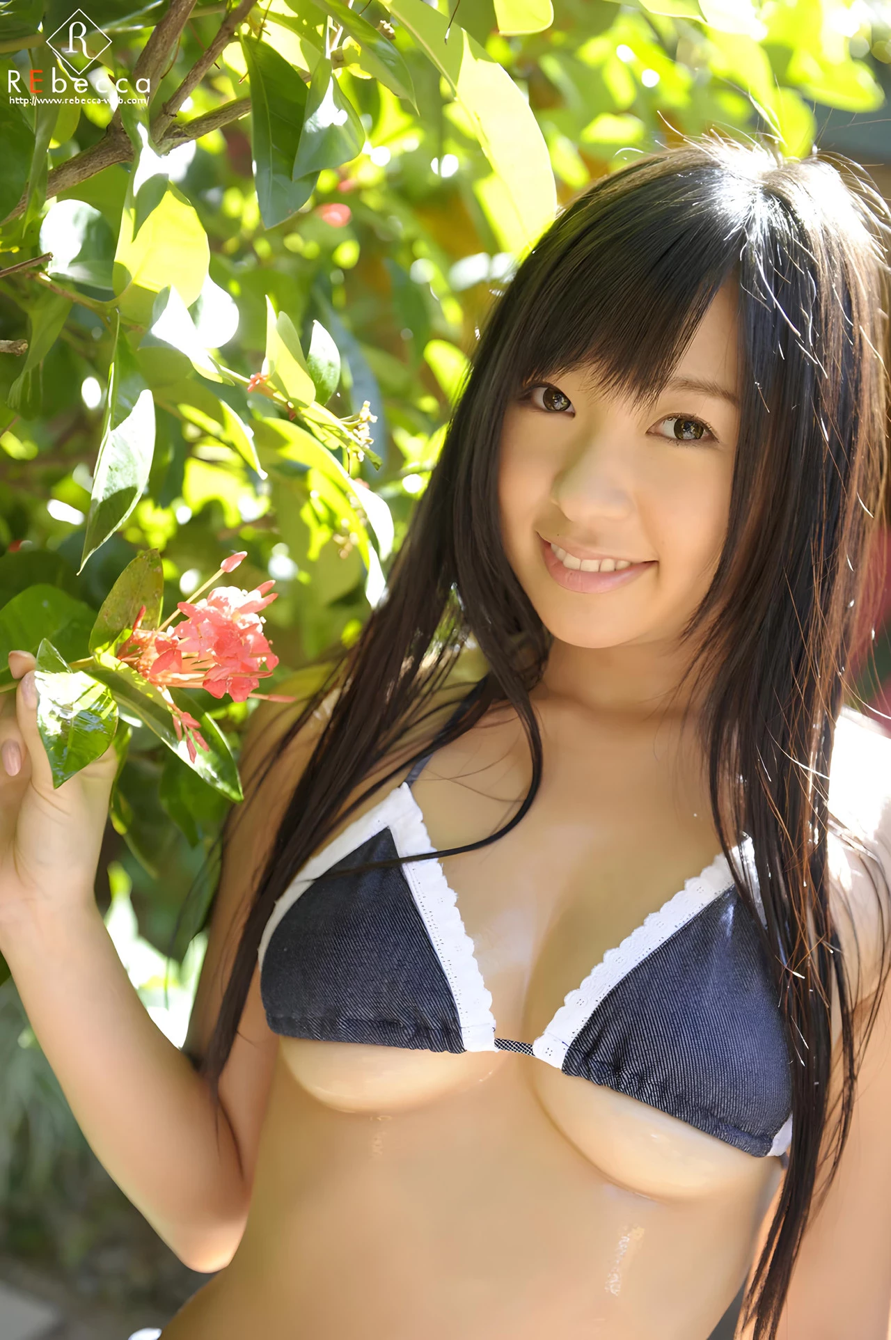 29185152.webp