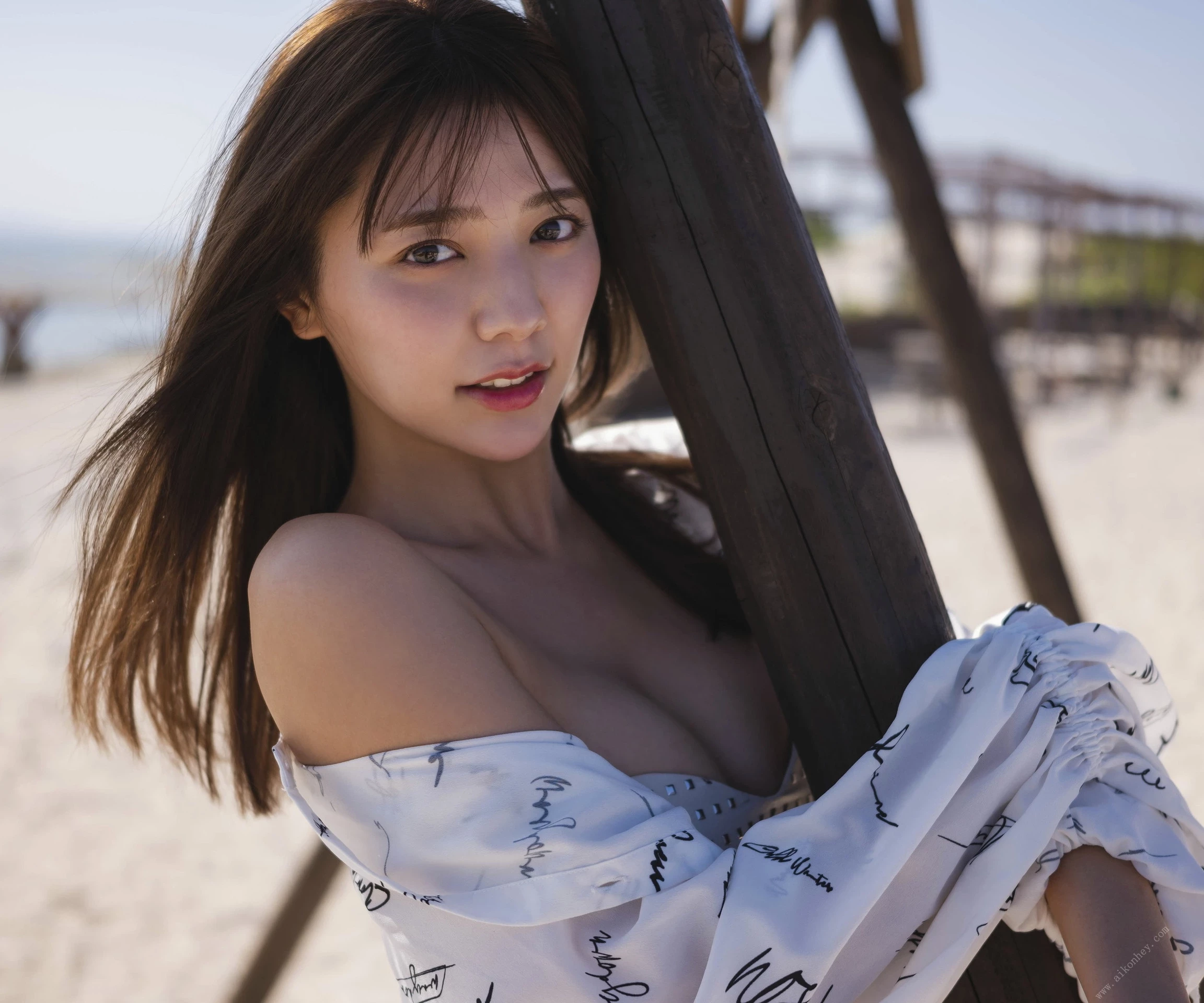 29186048.webp