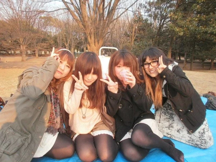 17523211.webp