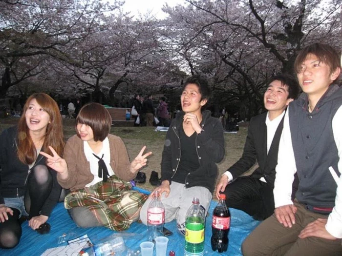 17523229.webp