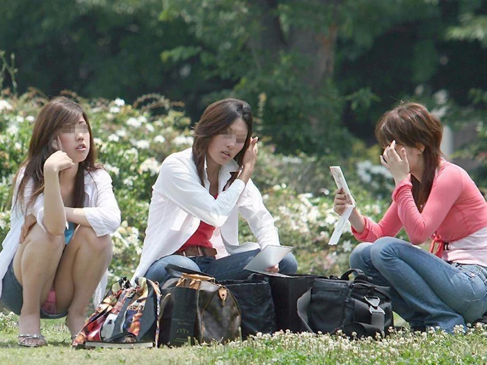 17523233.webp