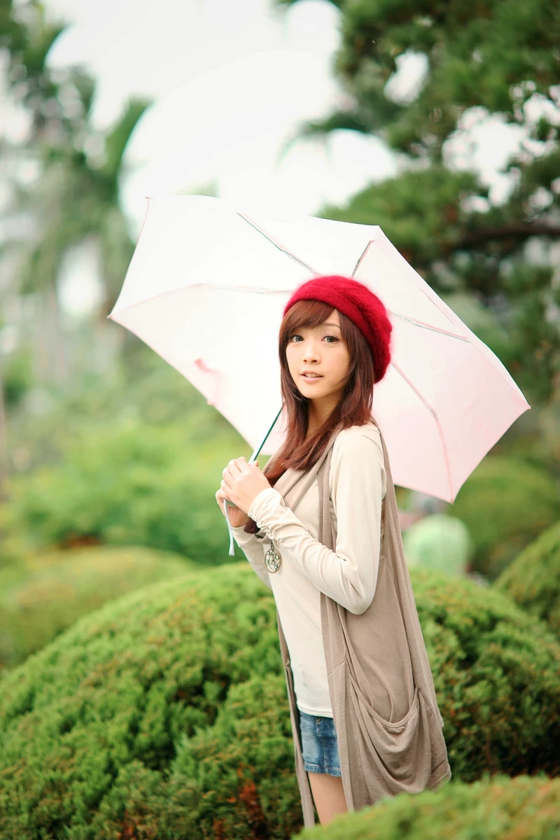 17718768.webp