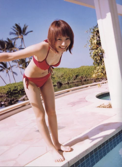 17799788.webp