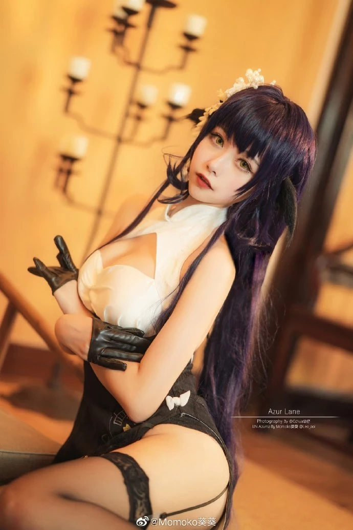 4064174.webp