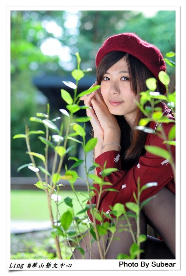 17365005.webp