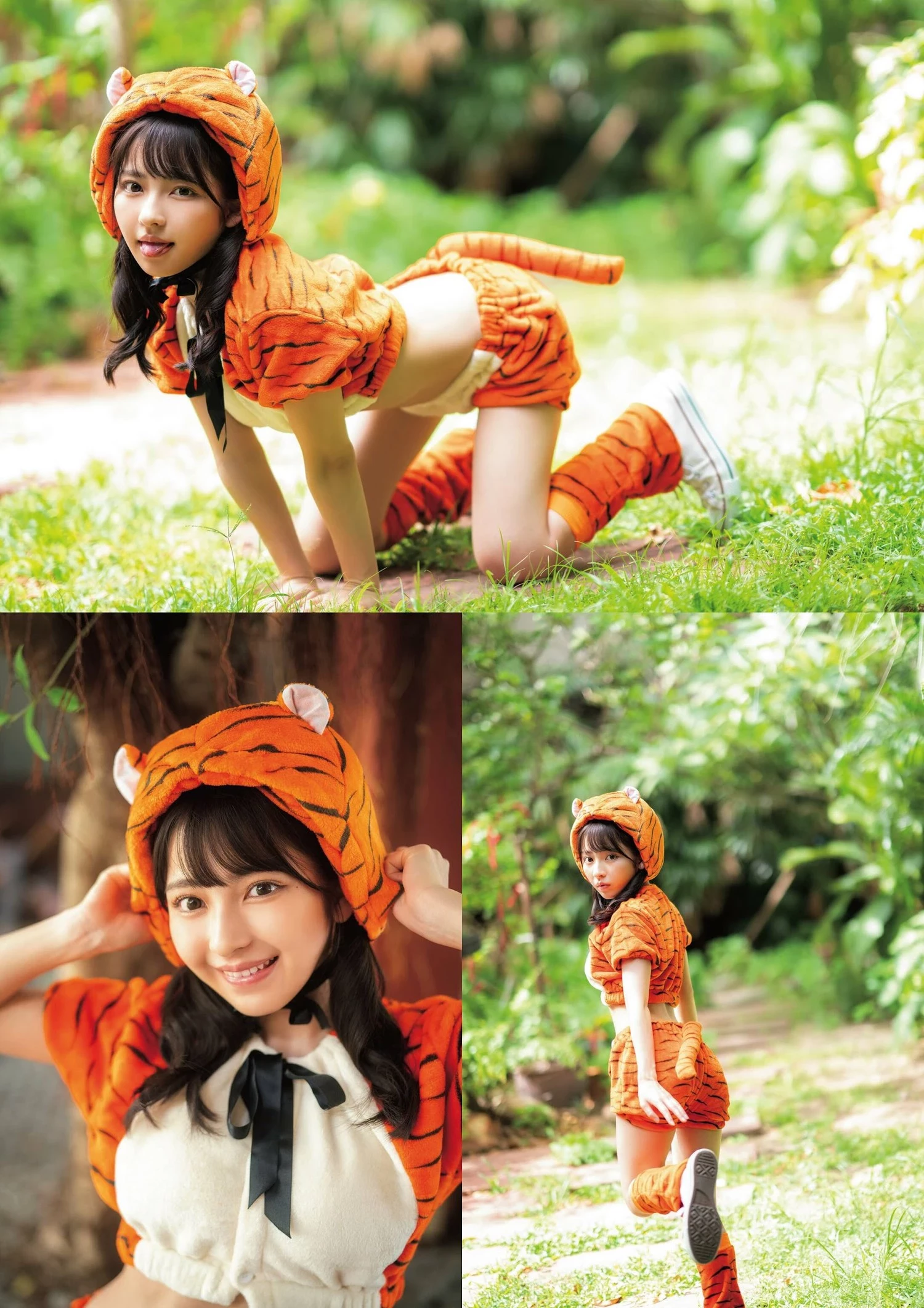 29167674.webp