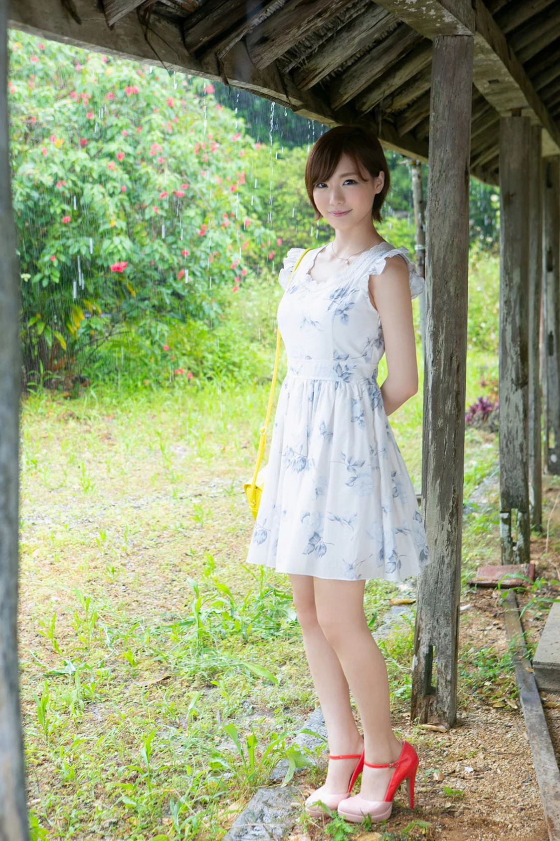 29147729.webp