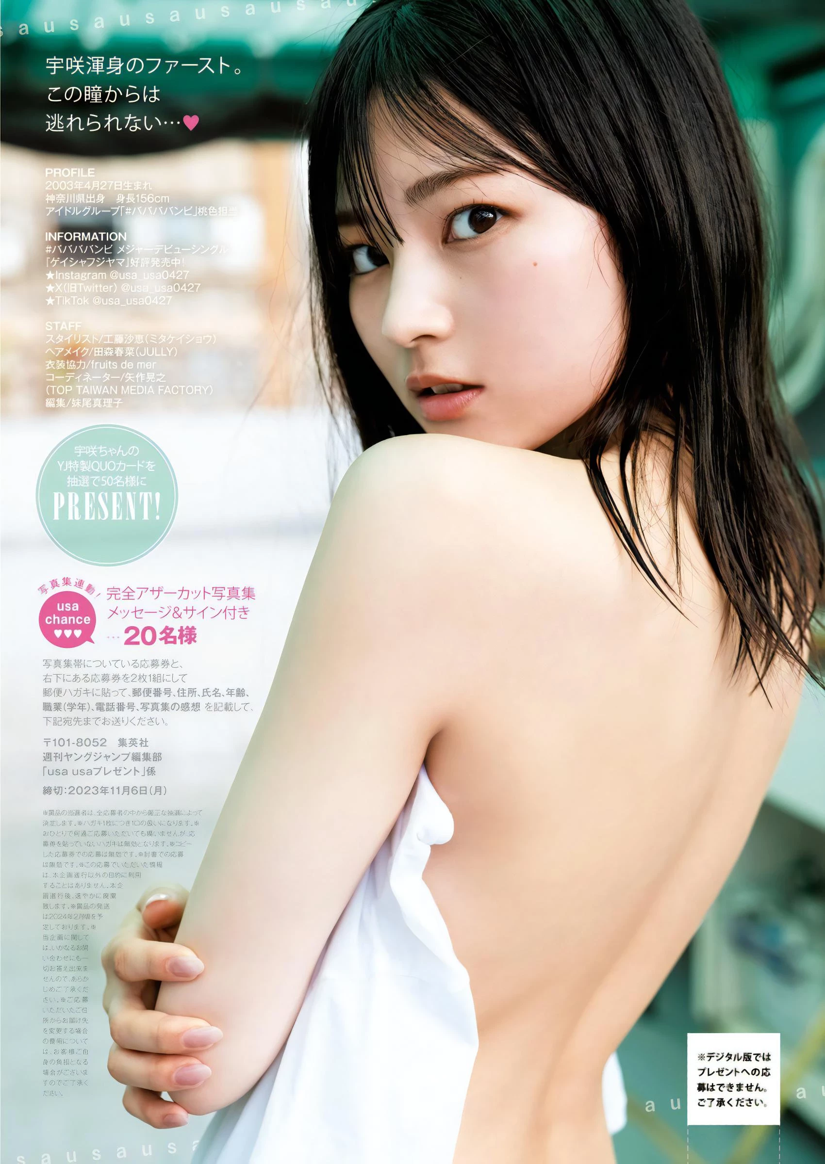 29113062.webp