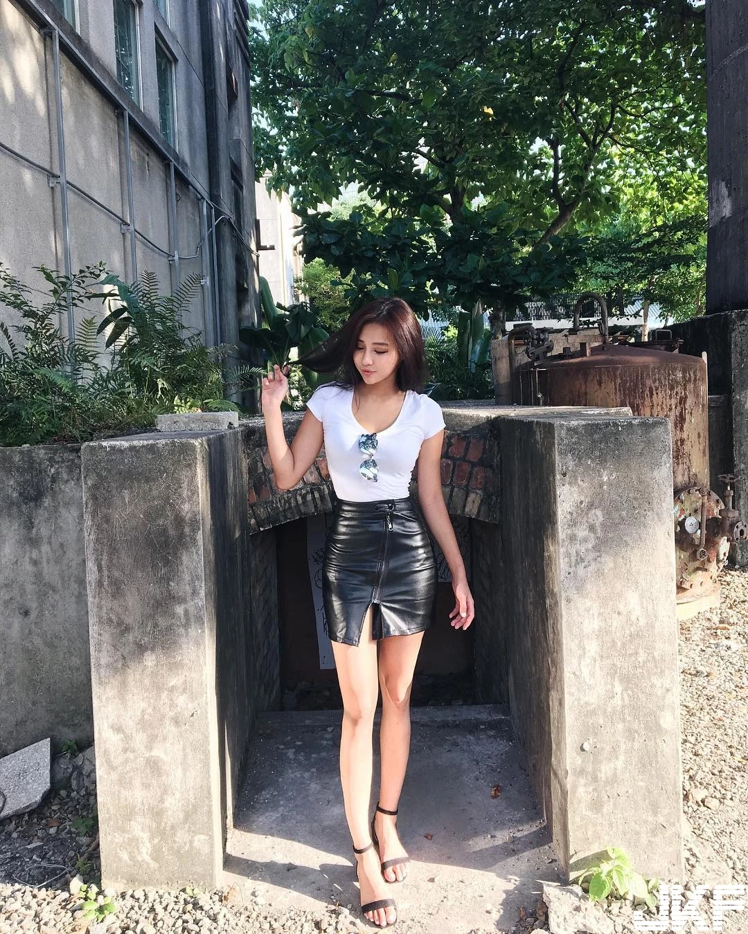 16809761.webp