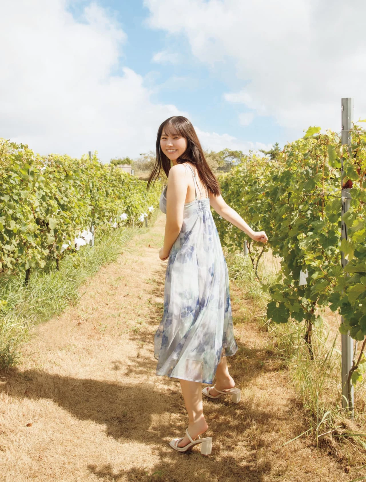 29115113.webp