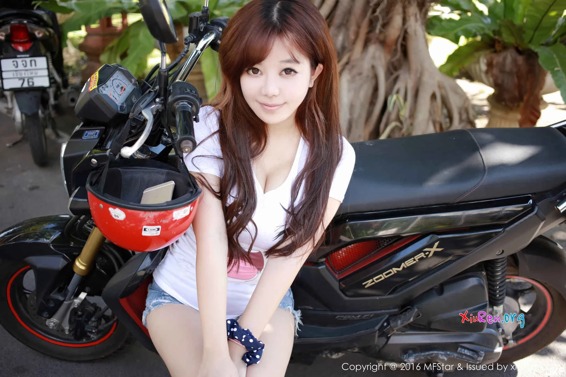 16883282.webp