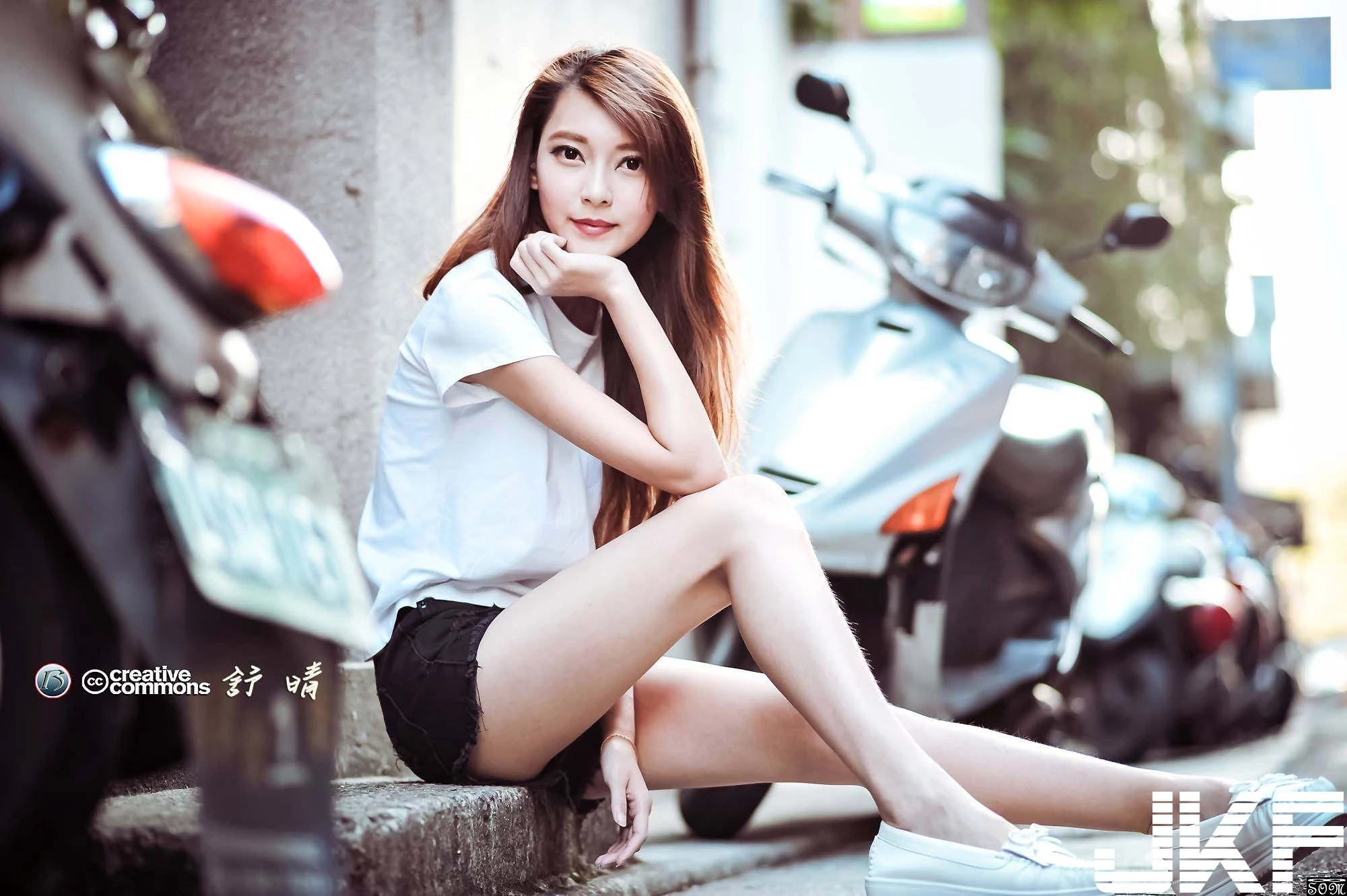 16793033.webp