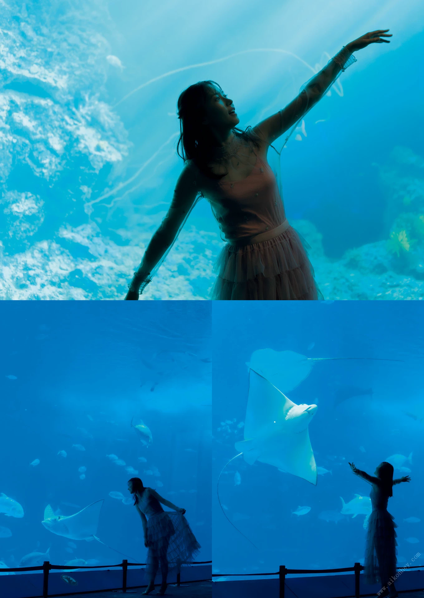28712933.webp