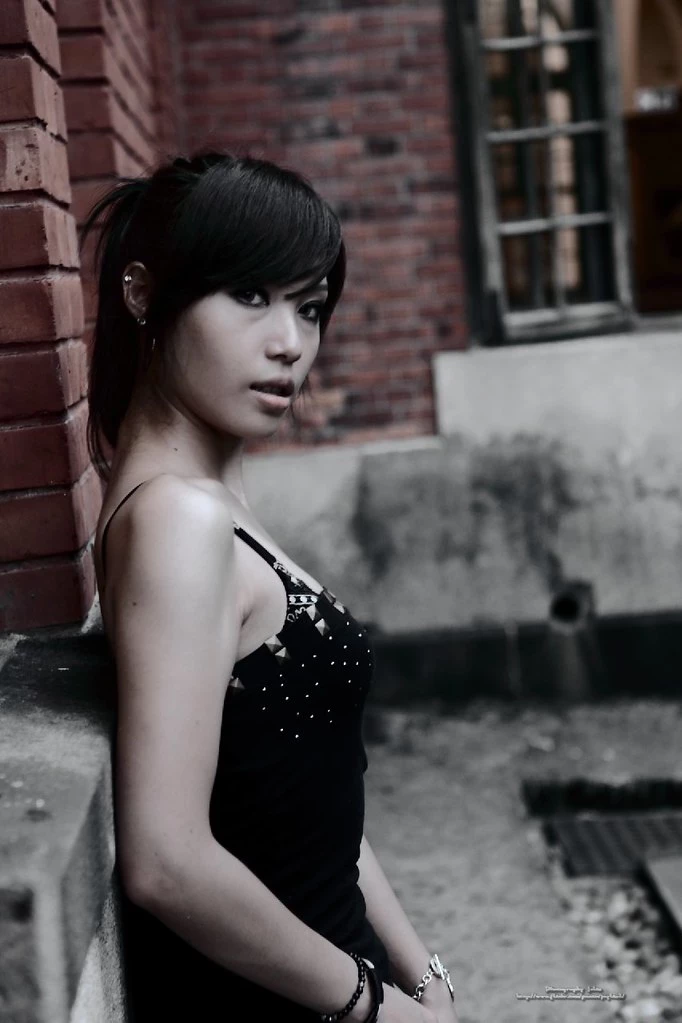 17803626.webp