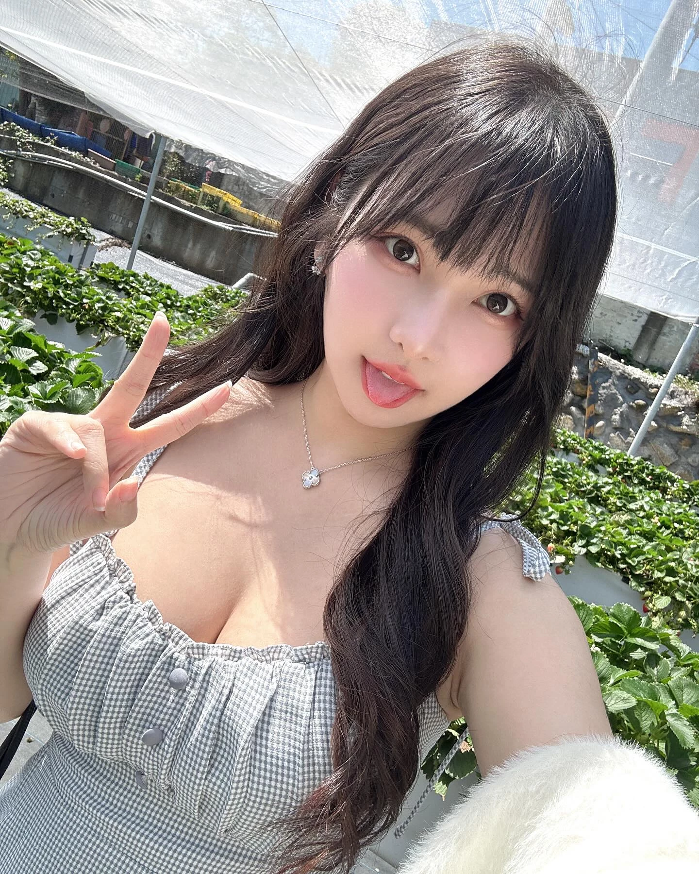 30870432.webp