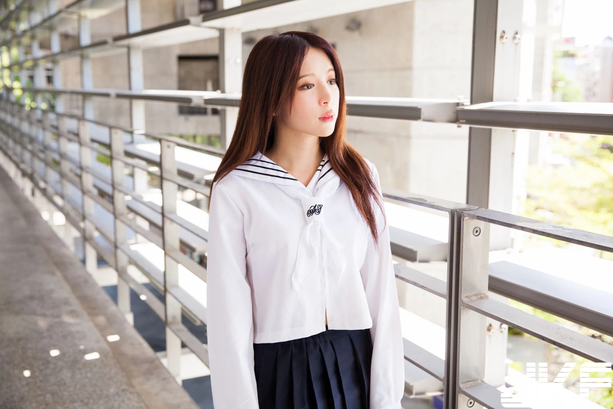 16843492.webp