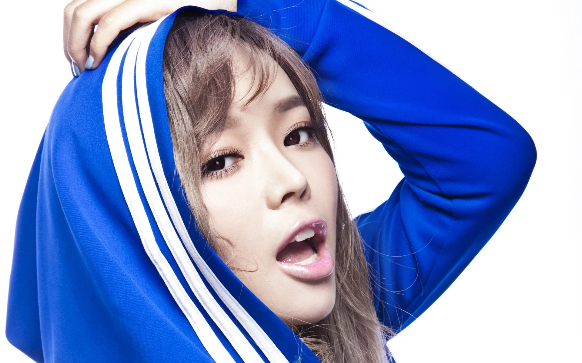 17097667.webp