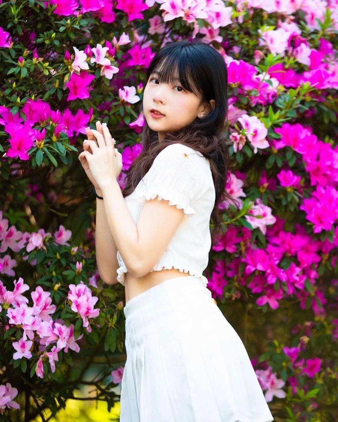 31307772.webp