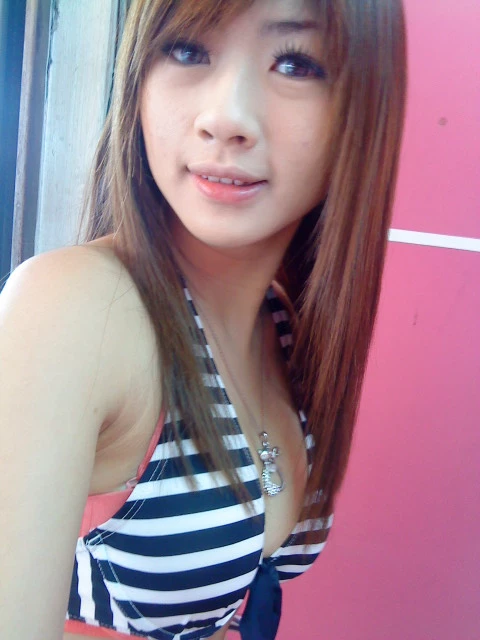 17908858.webp