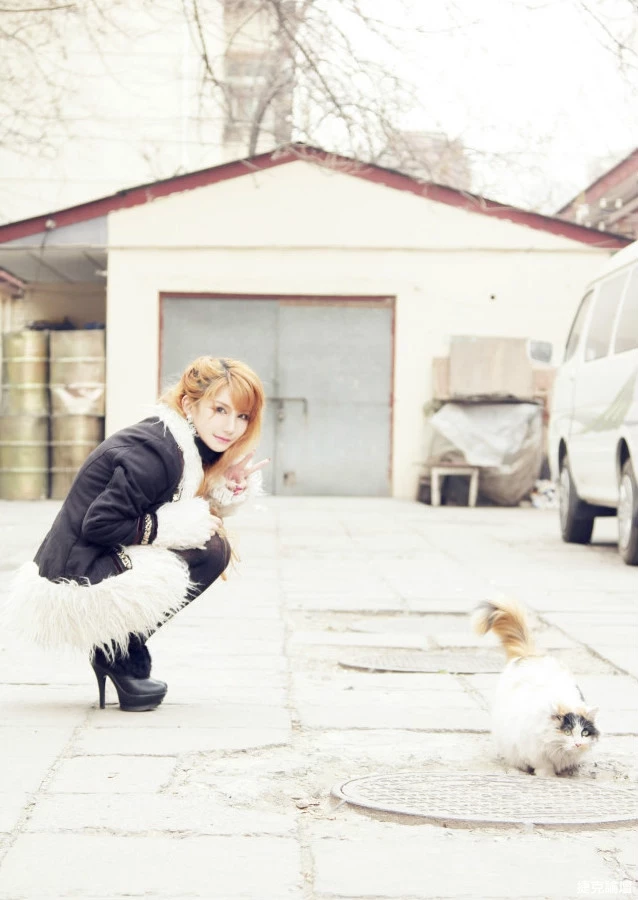 17324603.webp