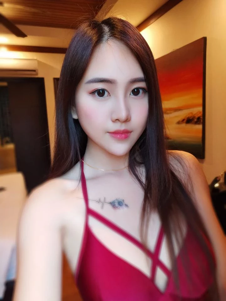 4024561.webp