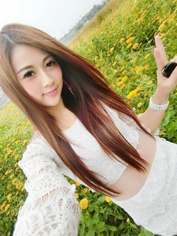 4031205.webp